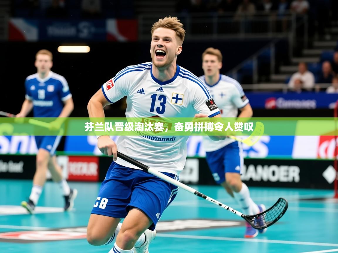 2025 极直播官网芬兰队晋级淘汰赛，奋勇拼搏令人赞叹